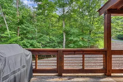 Other - 167 Anglers Loop, Blue Ridge, GA 30513 photo 1 of 14
