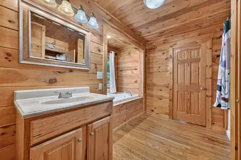 Bath - 220 Chat-a-while Ln, Morganton, GA 30560 photo 1 of 7