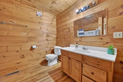Bath - 220 Chat-a-while Ln, Morganton, GA 30560 photo 3 of 7