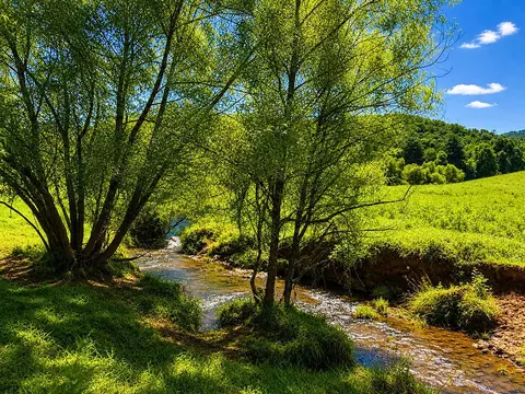 00 Sunny Point Rd, Murphy, NC 28906 photo 2