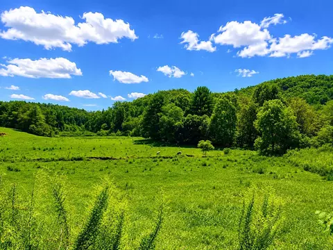 00 Sunny Point Rd, Murphy, NC 28906 photo 5