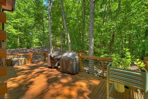 Exterior - 407 Arrowhead Pass, Cherry Log, GA 30522 photo 5 of 16