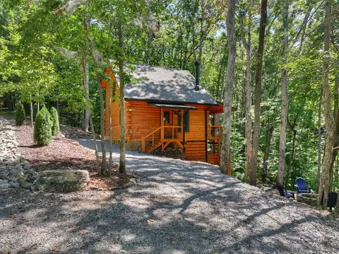 Exterior - 407 Arrowhead Pass, Cherry Log, GA 30522 photo 15 of 16