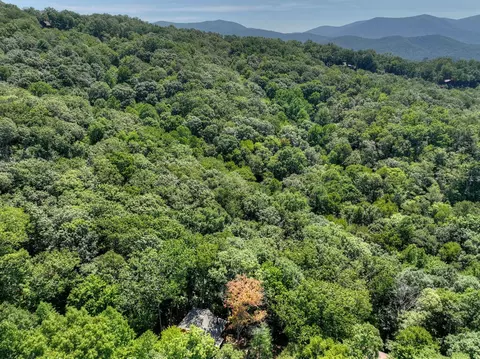 View/Area - 407 Arrowhead Pass, Cherry Log, GA 30522 photo 3 of 3