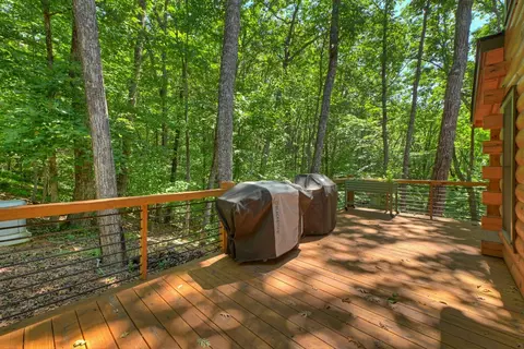 Exterior - 407 Arrowhead Pass, Cherry Log, GA 30522 photo 6 of 16