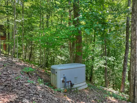 Exterior - 407 Arrowhead Pass, Cherry Log, GA 30522 photo 11 of 16