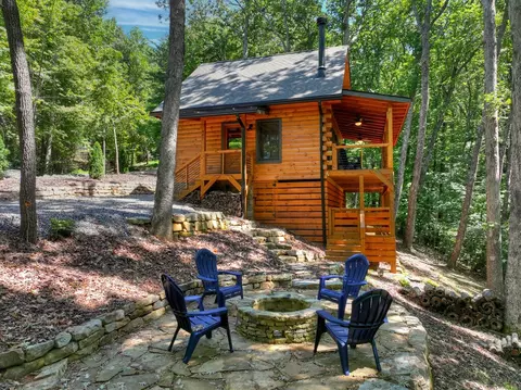 Exterior - 407 Arrowhead Pass, Cherry Log, GA 30522 photo 13 of 16