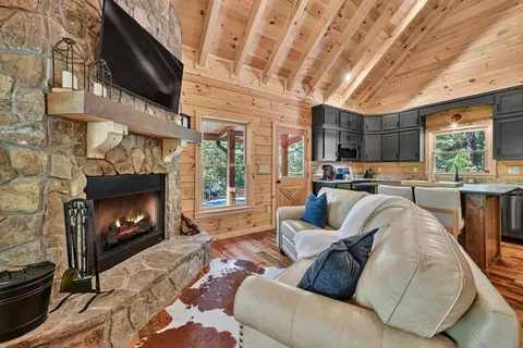 Living - 407 Arrowhead Pass, Cherry Log, GA 30522 photo 1 of 5