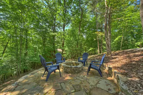 Exterior - 407 Arrowhead Pass, Cherry Log, GA 30522 photo 7 of 16