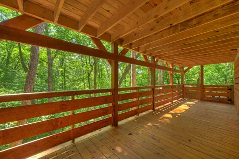Exterior - 407 Arrowhead Pass, Cherry Log, GA 30522 photo 10 of 16