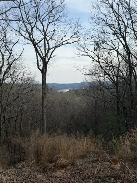 439 Buck Creek Rd, Ellijay, GA 30540
