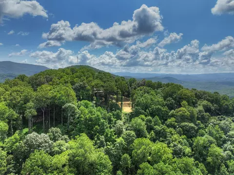 Lt H130 Walnut Mountain, Ellijay, GA 30536