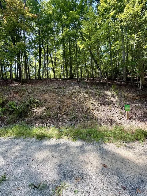 lot159 Tracks Holw, Murphy, NC 28906 photo 6