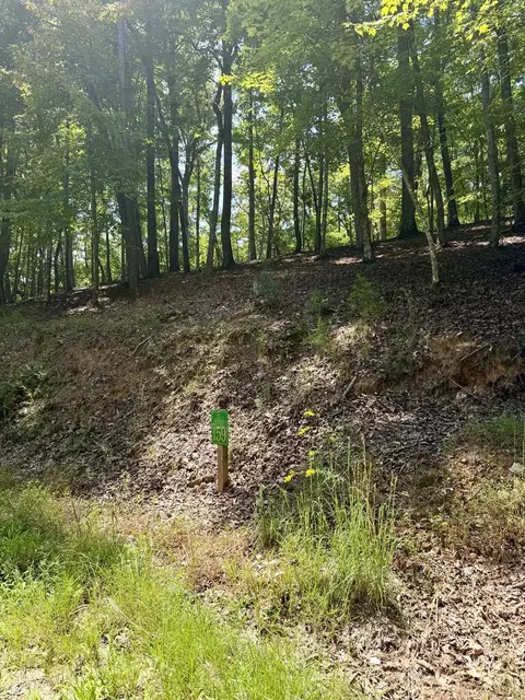 lot159 Tracks Holw, Murphy, NC 28906 photo 4