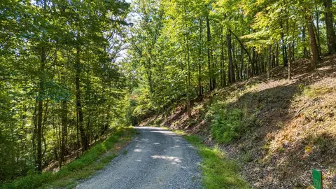 lot159 Tracks Holw, Murphy, NC 28906 photo 3