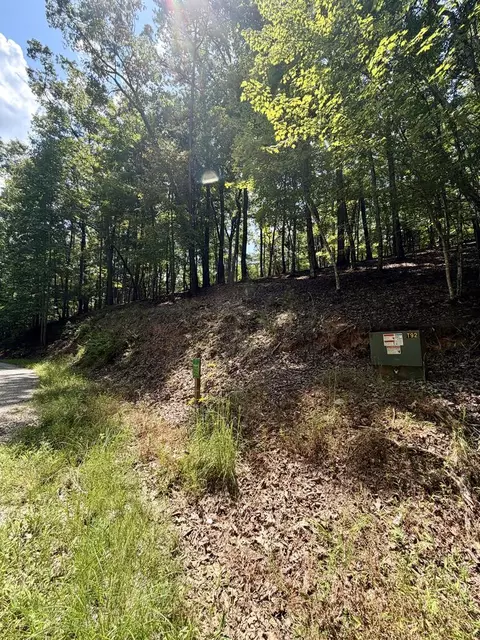 lot159 Tracks Holw, Murphy, NC 28906 photo 5