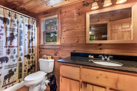 Bath - 20 Locust Pointe Trl, Murphy, NC 28906 photo 1 of 3