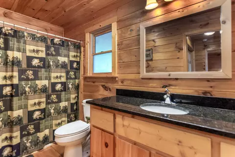 Bath - 20 Locust Pointe Trl, Murphy, NC 28906 photo 2 of 3
