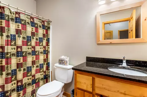 Bath - 20 Locust Pointe Trl, Murphy, NC 28906 photo 3 of 3