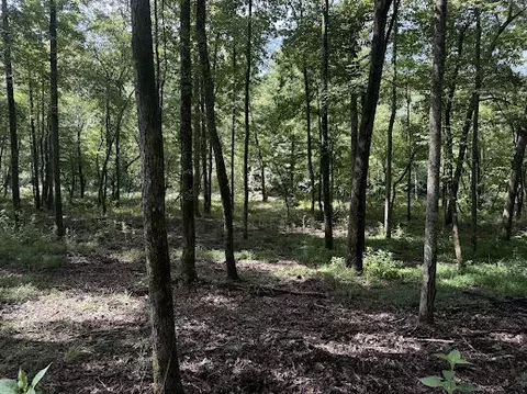 331 Rushing River Rd, Talking Rock, GA 30175 photo 10