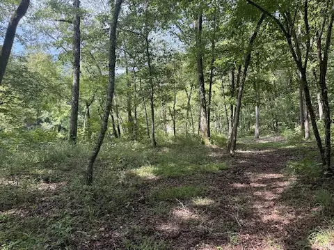 331 Rushing River Rd, Talking Rock, GA 30175 photo 7