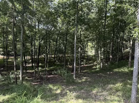331 Rushing River Rd, Talking Rock, GA 30175 photo 9