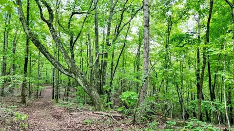 Trt A Cascade Drive, Jasper, GA 30143 photo 7