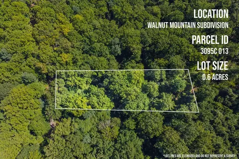 91 Mountain Oak Road, Ellijay, GA 30536