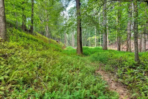 00 River Way, Blue Ridge, GA 30513