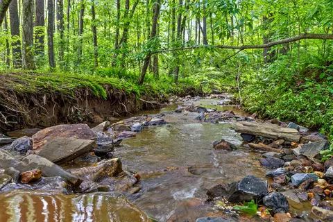 lot331 Twisted Oak Rd, Talking Rock, GA 30175