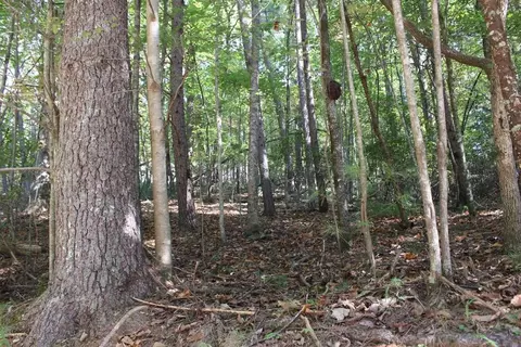 lot546 N Satsuma Ct, Ellijay, GA 30540