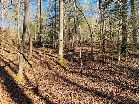 86 Sparks Rd, Murphy, NC 28906 photo 8