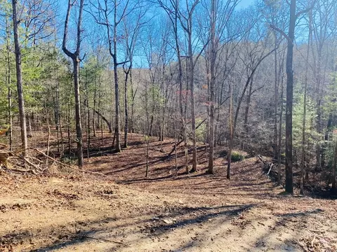 86 Sparks Rd, Murphy, NC 28906 photo 3