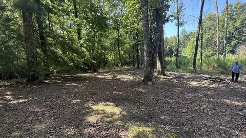 259 Spring Hills Ln, Blairsville, GA 30512