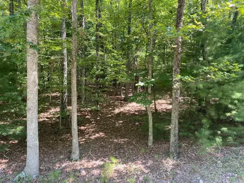 6 93 Ac Timber Ridge Rd, Blairsville, GA 30512