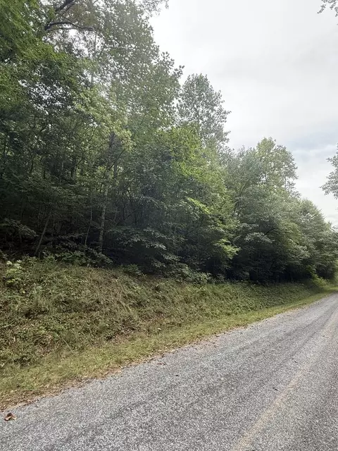 00 Henson Rd, Hayesville, NC 28904 photo 5