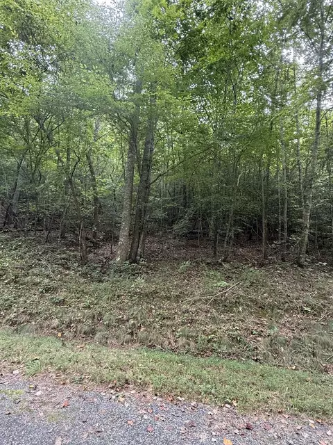 00 Henson Rd, Hayesville, NC 28904 photo 6