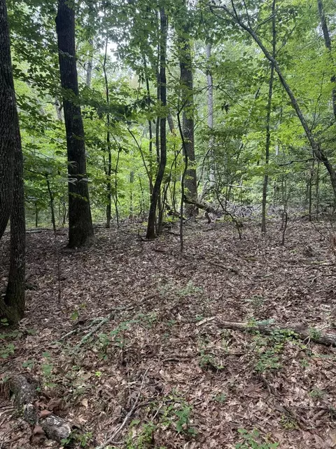 00 Henson Rd, Hayesville, NC 28904 photo 22