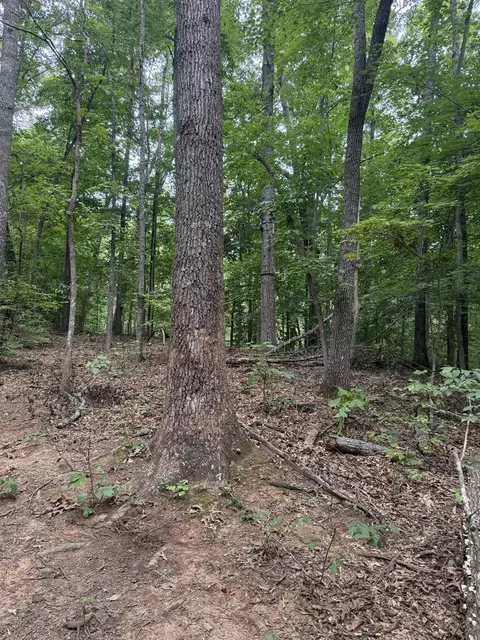 00 Henson Rd, Hayesville, NC 28904 photo 25