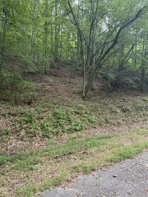 00 Henson Rd, Hayesville, NC 28904 photo 2