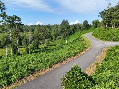 lot30 Arbor Creek Trl, Mineral Bluff, GA 30559