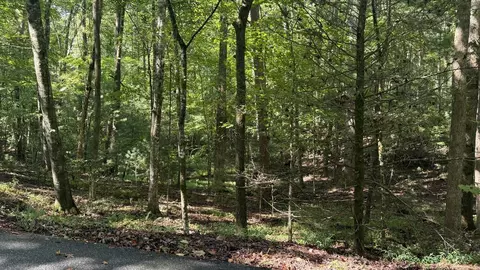 00 River Ridge Rd, Blue Ridge, GA 30513