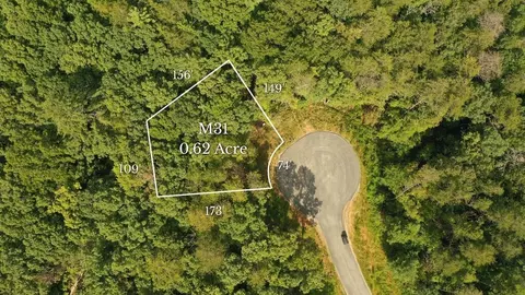 M31 Pine Valley Road, Mineral Bluff, GA 30559