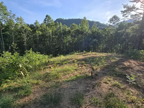 lot67 Hi River Country, Hiawassee, GA 30546
