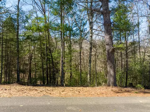 lot164 Shenendoa Dr, Ellijay, GA 30540