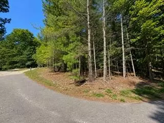 3 87 Ac Skeenah Highlands Rd, Blairsville, GA 30512
