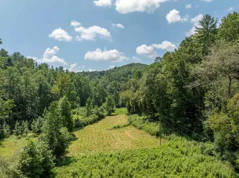14 97ac Wolf Pen Gap Rd, Ellijay, GA 30540