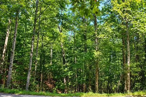lot18 Wilderness Walk, Blairsville, GA 30512