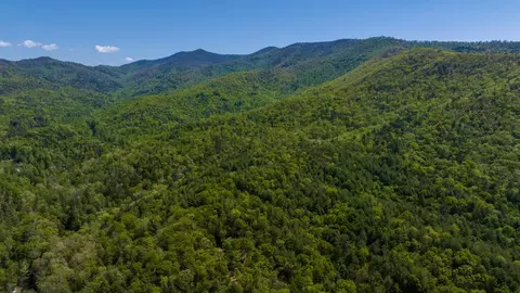 Other - 45 Black Bear Trce, Murphy, NC 28906 photo 10 of 11