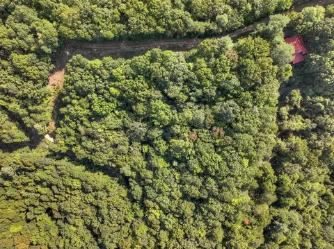 3 6 Ac Prince Mountain Rd, Cherry Log, GA 30522 photo 15